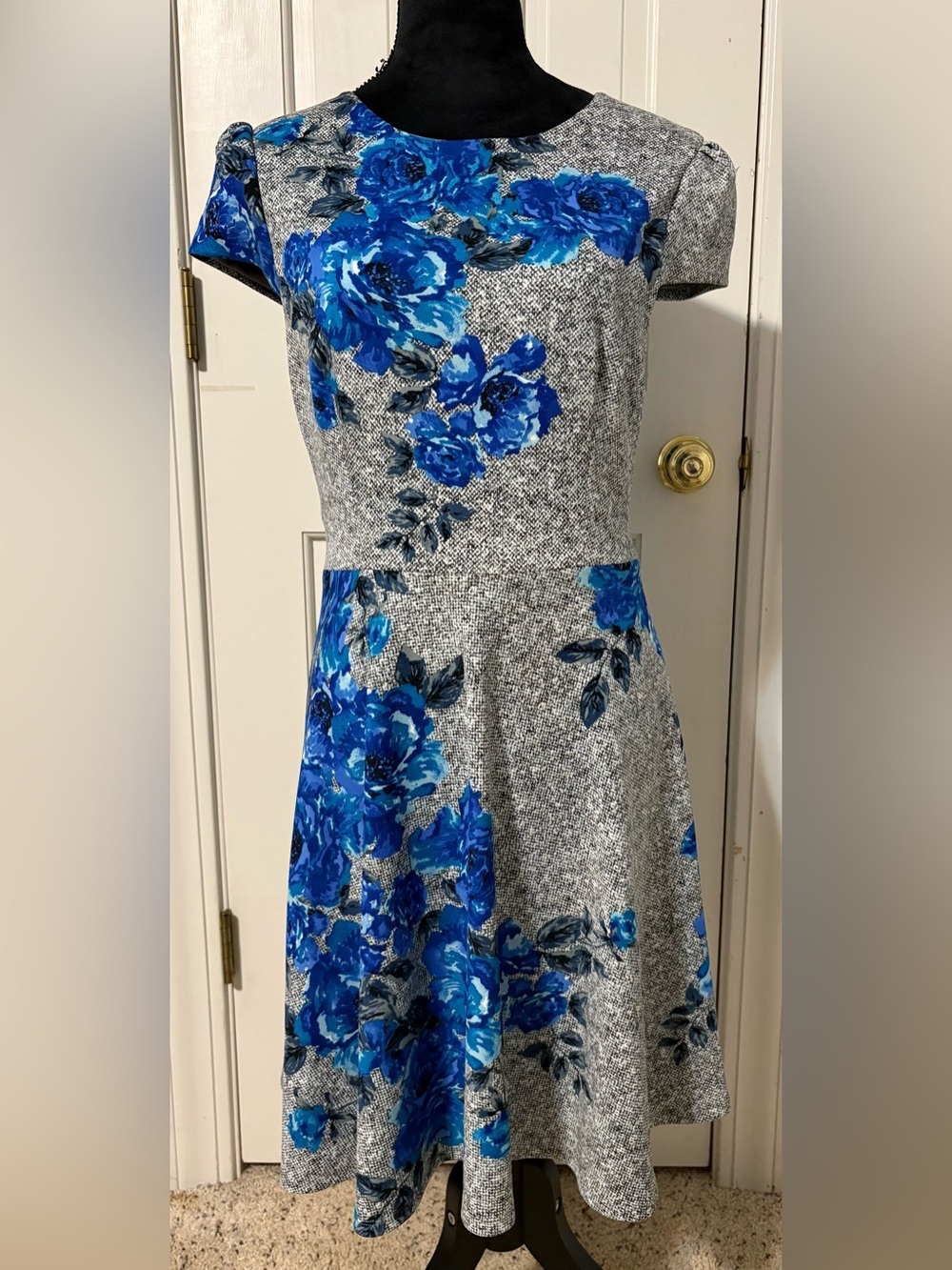 BETSY JOHNSON Fantastic Floral Fit-and-Flare Dress